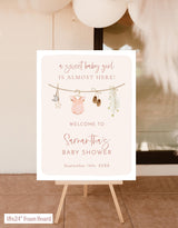 Girl Clothesline Baby Shower Welcome Sign | Sweet Baby Poster