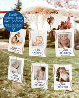 First Birthday Photo Banner | Rookie of the Year First Birthday | Monthly Milestone Photo Cards | Baseball First Birthday | Photo Banner, R2