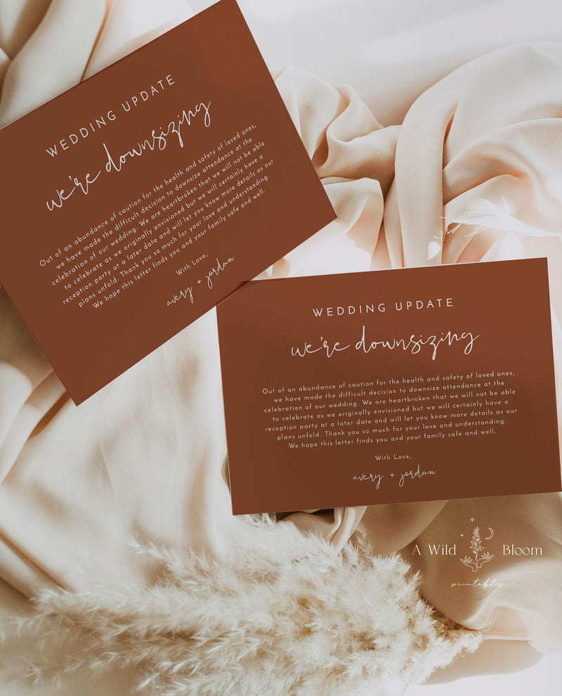 Terracotta Wedding Downsize Announcement Card | Covid Wedding Update 