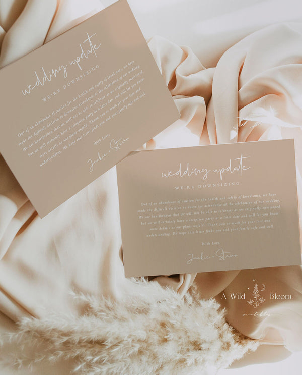 Minimalist Wedding Downsize Announcement Card | Covid Wedding Update 