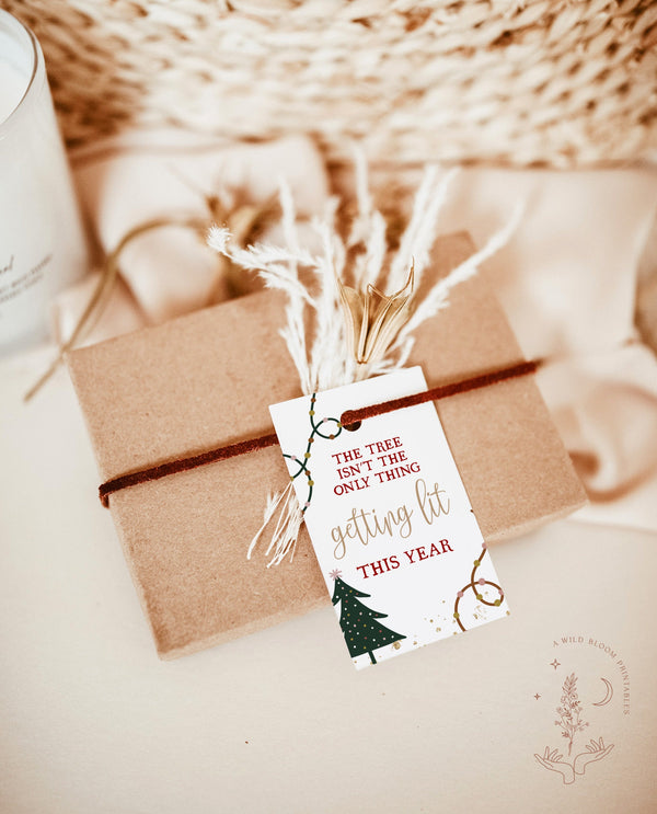 Funny Christmas Tag | Christmas Gift Tags 