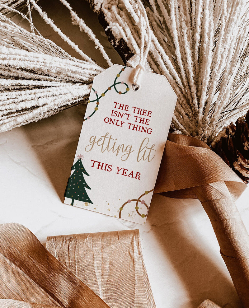 🎄 20 Pack Funny & Traditional Christmas Gift Tags - Cute Co-Ordinating Set For Adults