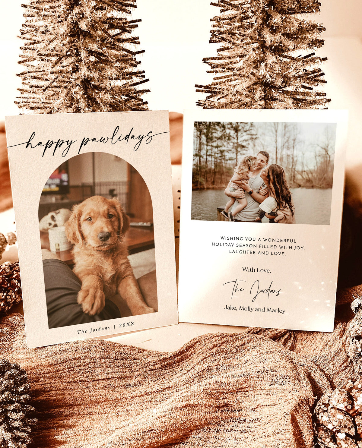 Pet Holiday Christmas Card Template | Arch Photo Minimalist Christmas Card