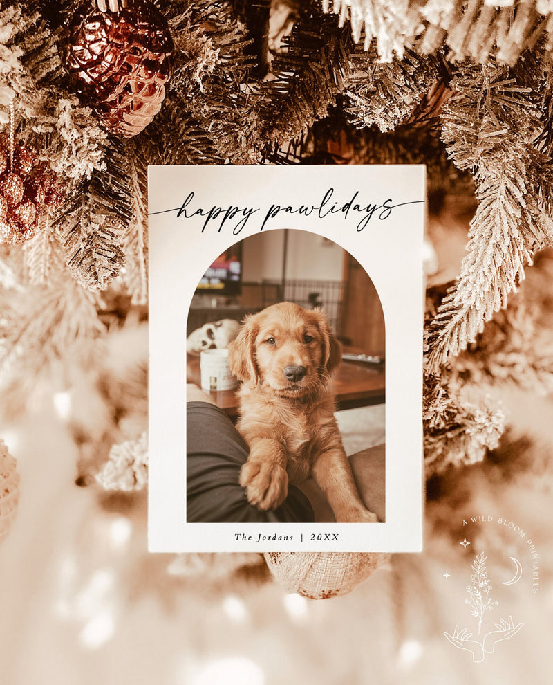Pet Holiday Christmas Card Template | Arch Photo Minimalist Christmas Card